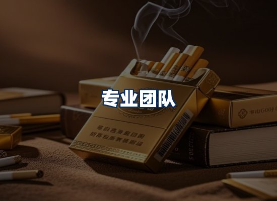 专业团队